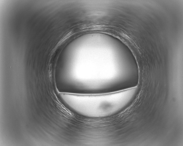 X0000068821450200605050930