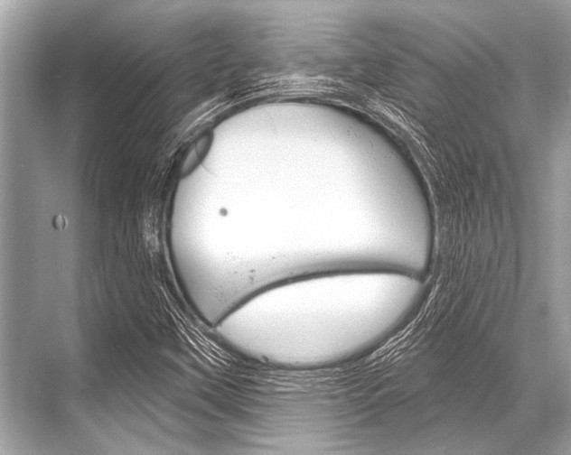 X0000068821451200605050930