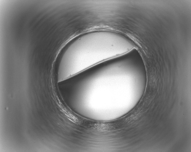 X0000068821458200605050930