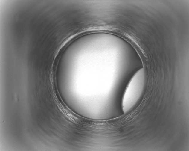X0000068821460200605050930