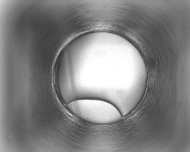 X0000068821467200605050930