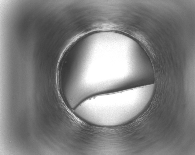 X0000068821472200605050929