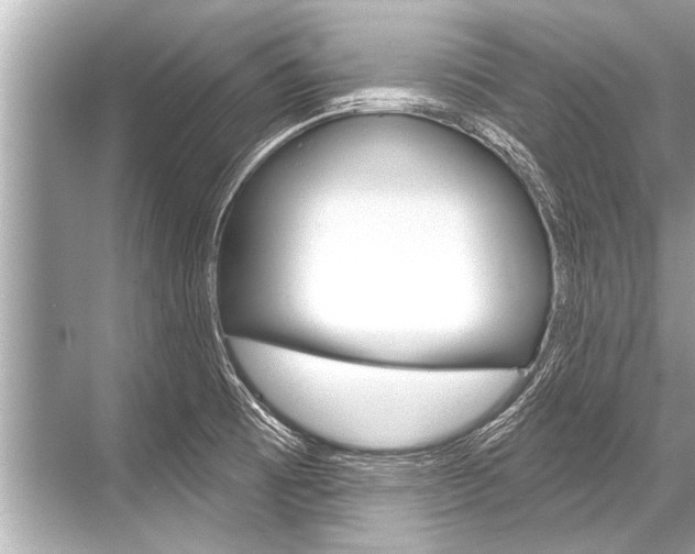 X0000068821473200605050929