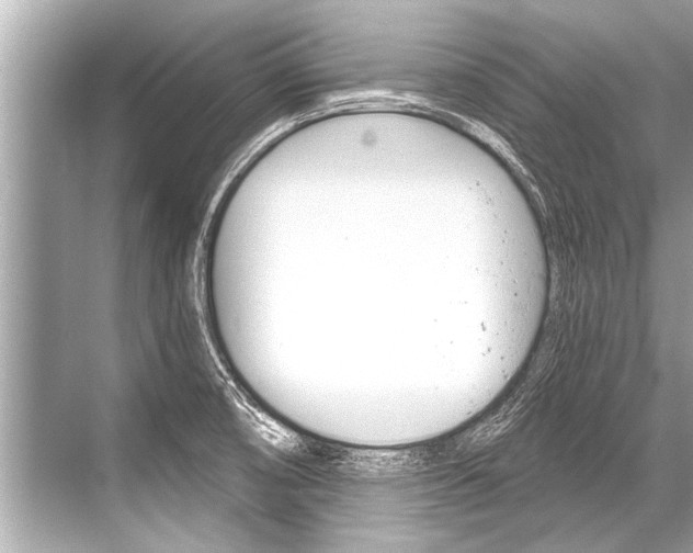 X0000068821474200605050929