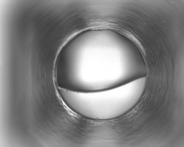 X0000068821485200605050929