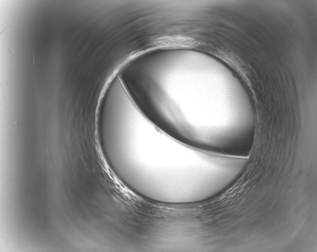 X0000068821488200605050929