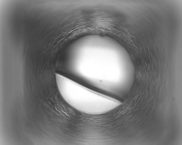X0000068821490200605050928