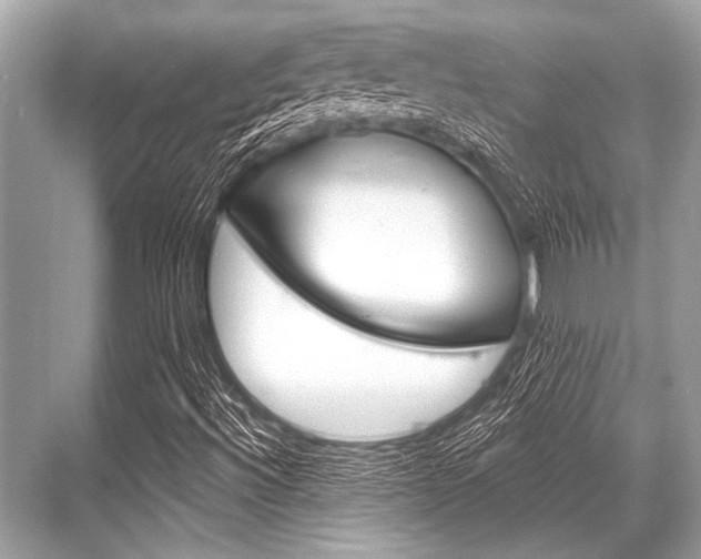 X0000068821492200605050928