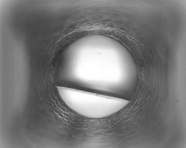 X0000068821493200605050928