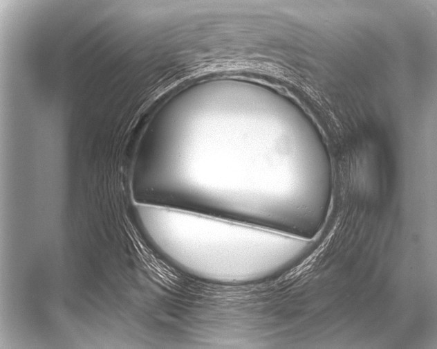 X0000068821497200605050929
