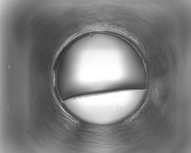 X0000068821509200605050929