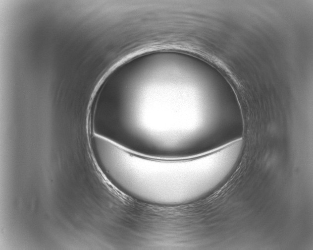 X0000068821516200605050929