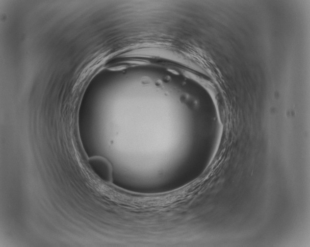 X0000068820001200605051222