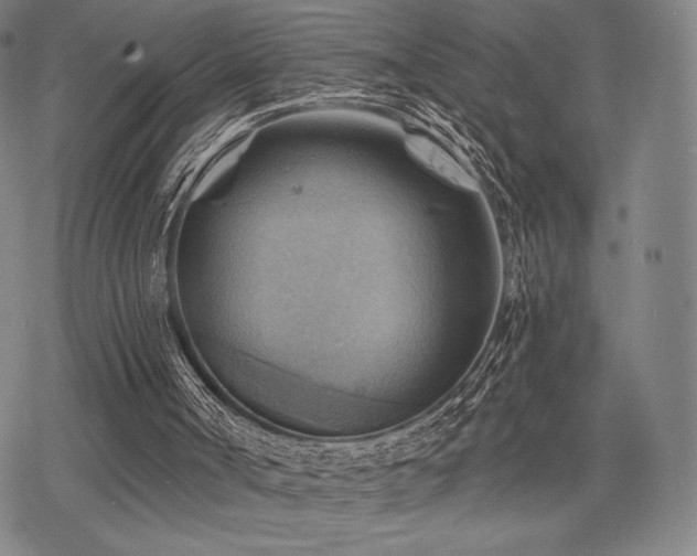 X0000068820002200605051222