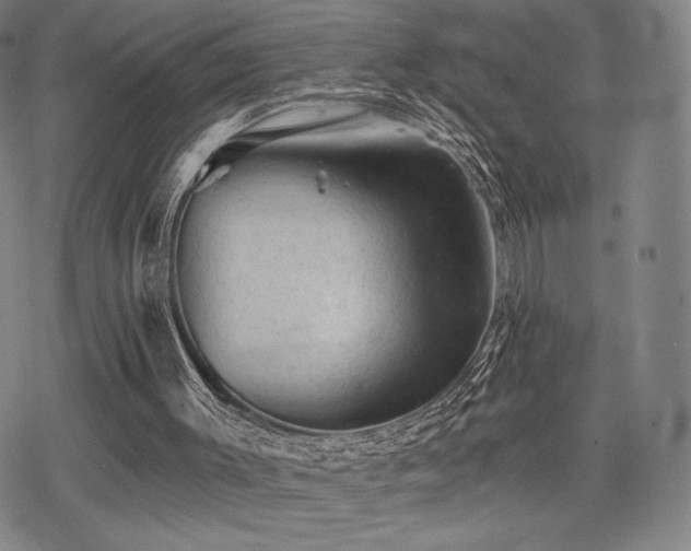 X0000068820003200605051222