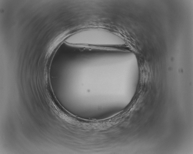 X0000068820005200605051222