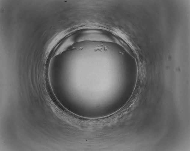 X0000068820007200605051222