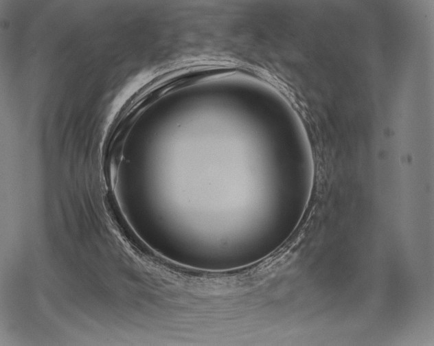 X0000068820008200605051222