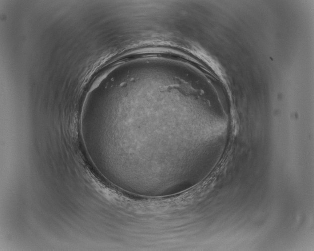 X0000068820009200605051222