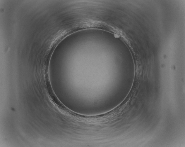 X0000068820010200605051222