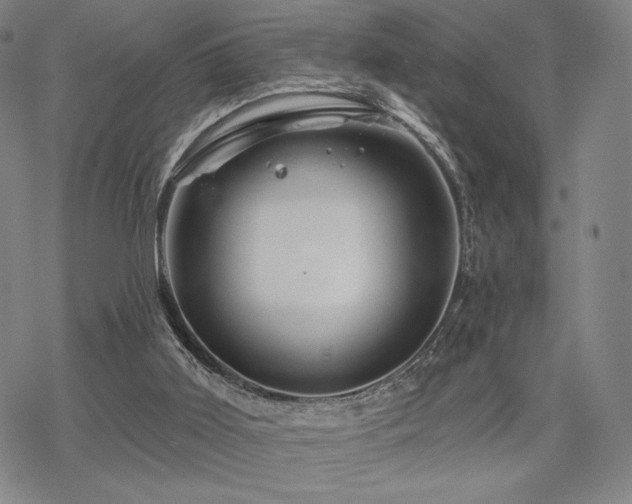 X0000068820011200605051222