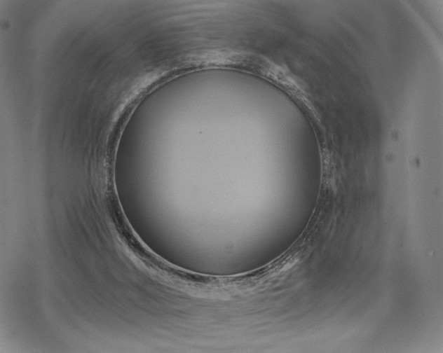 X0000068820012200605051222