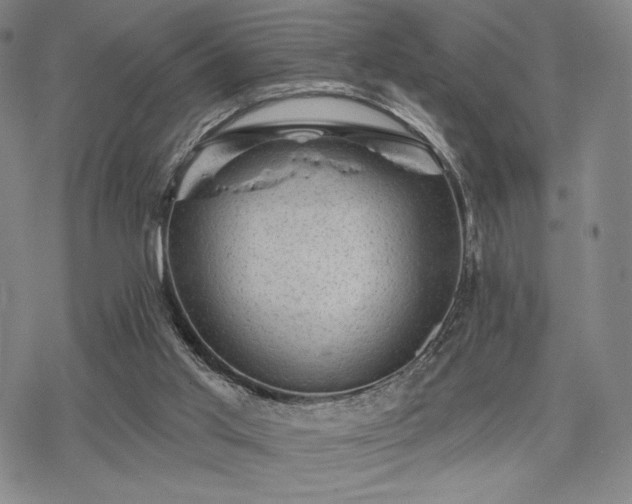 X0000068820013200605051222