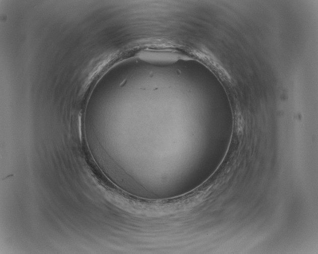 X0000068820014200605051222