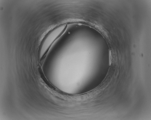 X0000068820015200605051222