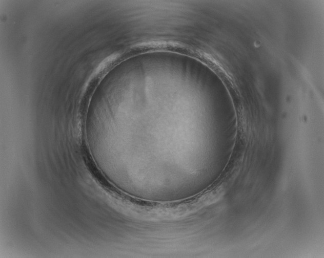 X0000068820016200605051222