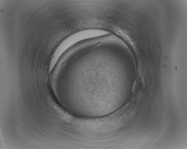 X0000068820017200605051222