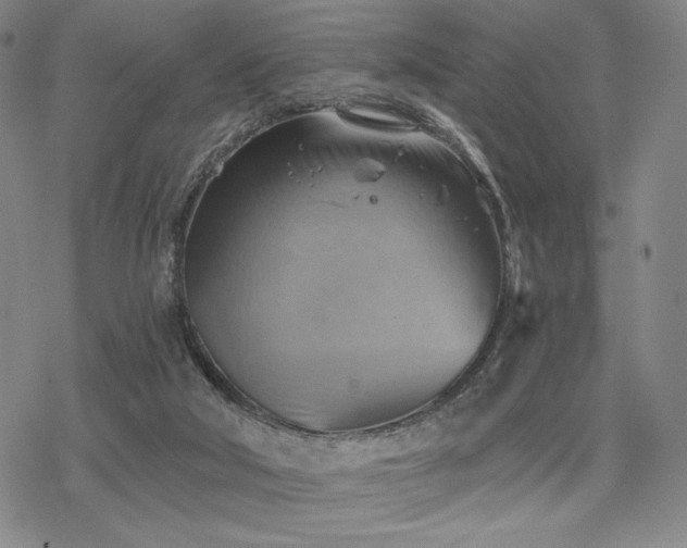 X0000068820018200605051222