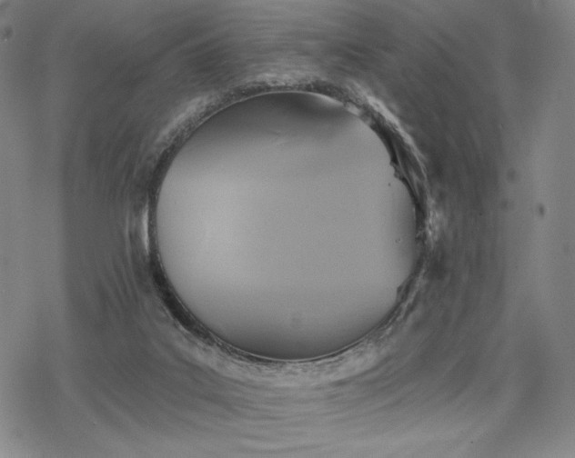 X0000068820019200605051222