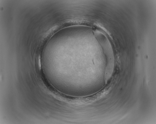 X0000068820020200605051222