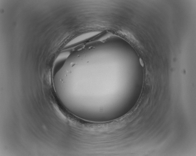 X0000068820021200605051222