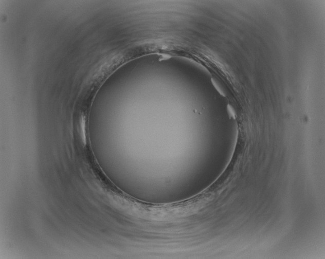 X0000068820022200605051222