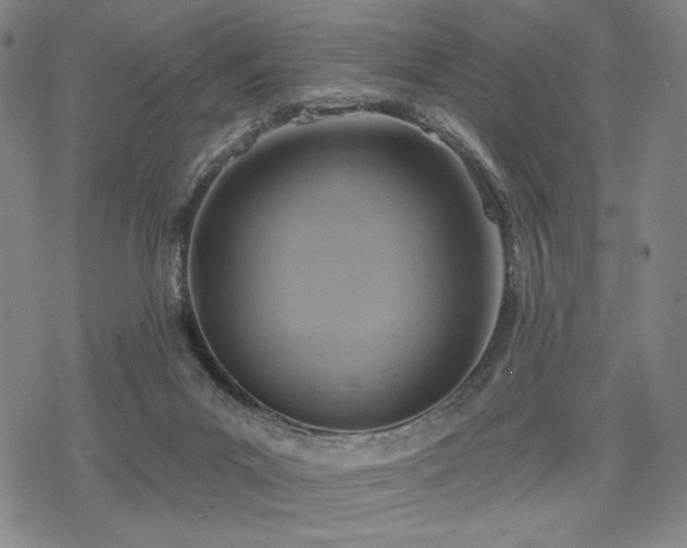 X0000068820023200605051222