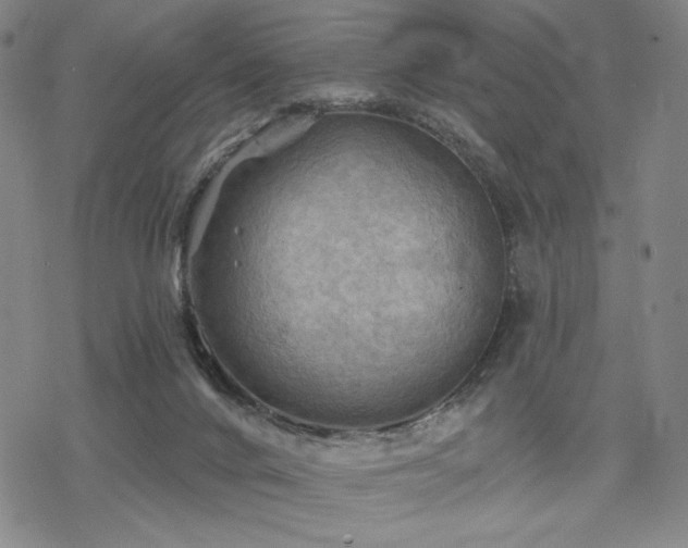 X0000068820024200605051222