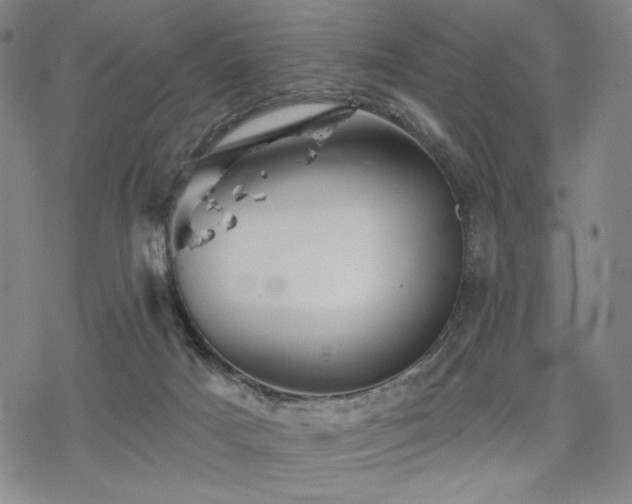 X0000068820025200605051222