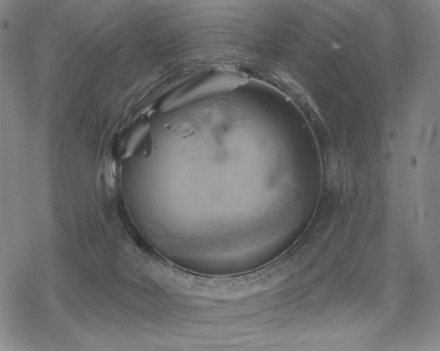 X0000068820026200605051222