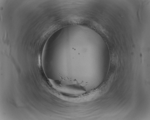 X0000068820027200605051222