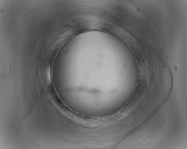 X0000068820028200605051222