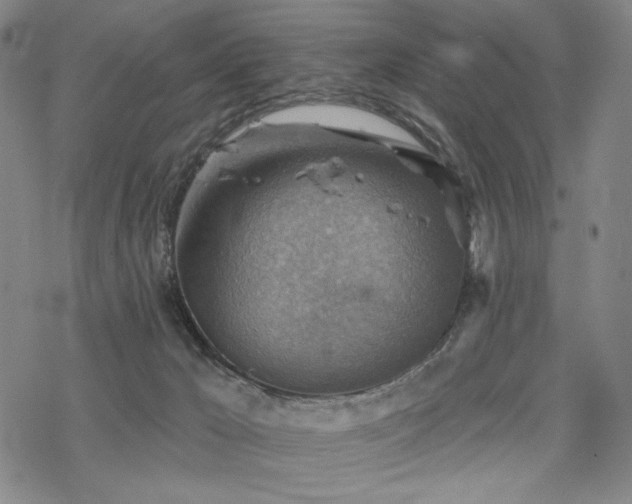 X0000068820029200605051222