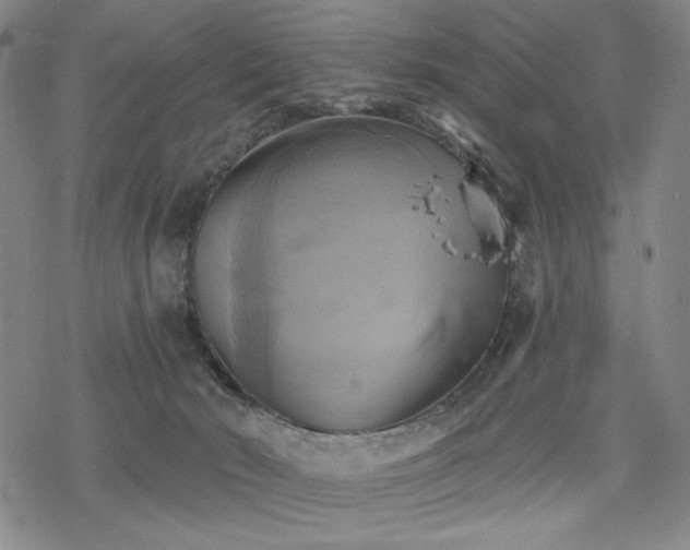 X0000068820030200605051222