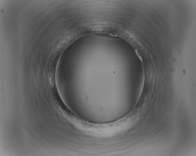 X0000068820031200605051222