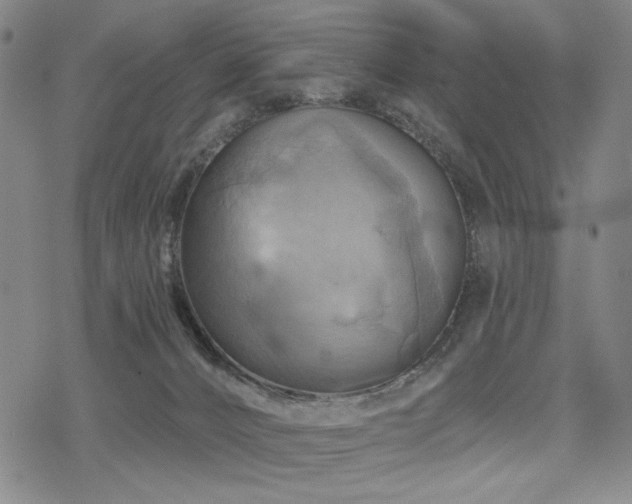 X0000068820032200605051222