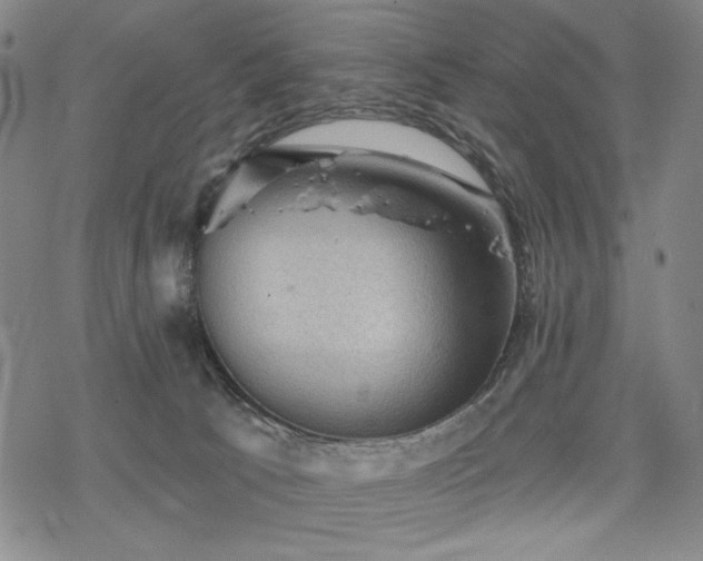 X0000068820033200605051222