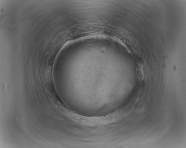 X0000068820034200605051222