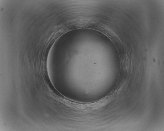 X0000068820035200605051222