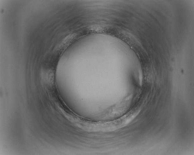 X0000068820036200605051222